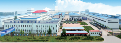 山东蓝天新材料科技有限公司