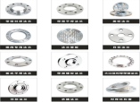 PL slip-on weld flanges, SO necked flanges, WN necked butt-weld flanges, BL blank flanges, SW socket-weld flanges, TH threaded flanges, and various special flanges